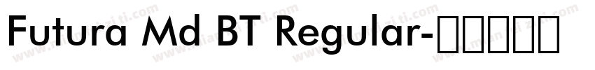 Futura Md BT Regular字体转换